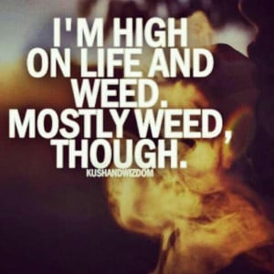High Life Quotes Weed High on life and weed