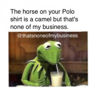 Back > Quotes For > Kermit The Frog Quotes Funny