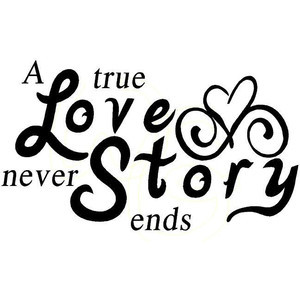 true love story never ends vinyl quote