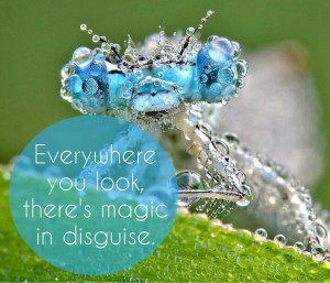 The Mind Unleashed Everywhere you look, there's magic in disguise