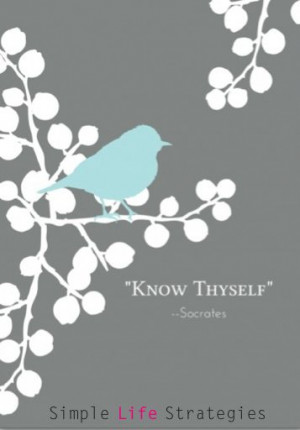 Found on simplelifestrategies.com