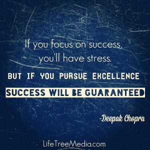 Focus on excellence and the success will follow