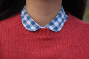 red sweater on adorable blue gingham collar.
