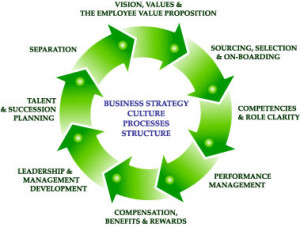 Organizational Development