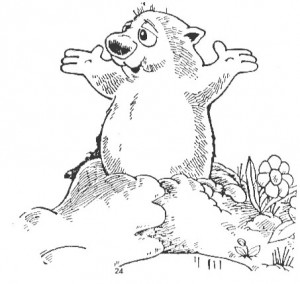 The Official Punxsutawney Groundhog Club : A Cute Cartoon Character