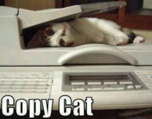 Copy cat lol