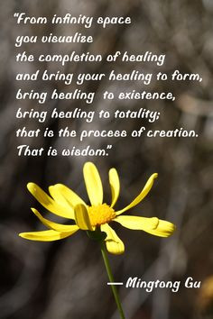 Quote from Qigong Master Mingtong Gu.