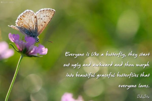 Butterfly Quotes Credited