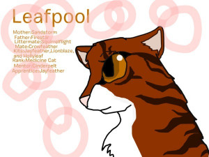 Warriors Leafpool Rosebudaol