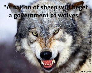 ... of sheep will beget a government of wolves.