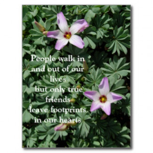 Friendship - Purple flowers Post Card