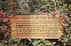 Prayer Of The Woods