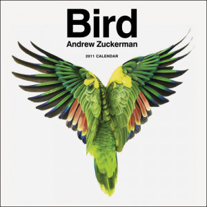 Andrew Zuckerman wall calendars 2011
