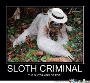 Sloth Criminal