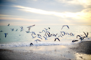 That’s the meaning of teamwork, when we can all gather around the ...