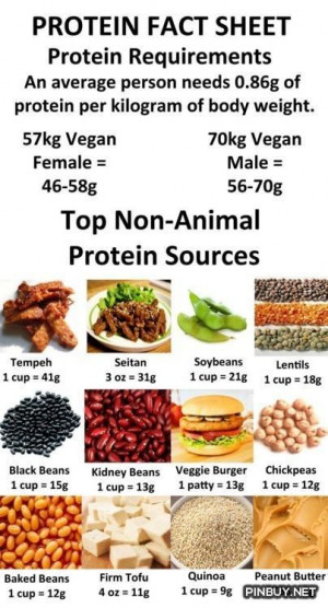 protein fact sheet - PinBuy