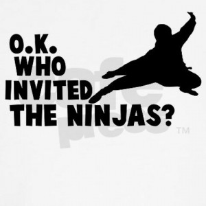 Everybody loves ninjas