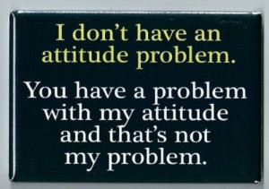 Attitude Problem FRIDGE MAGNET funny quote bad personality behavior