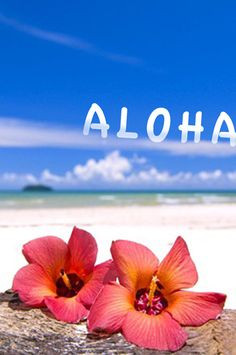 aloha More