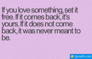 If You Love Something, Set It Free. If It Does Not Come Back, It Was ...