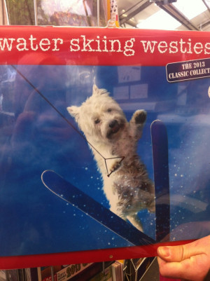 Water Skiing Westies Quotes