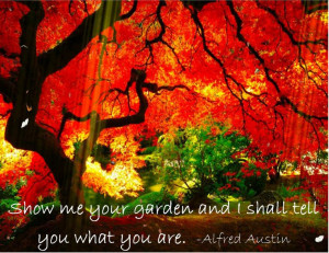 ... garden and I shall tell you what you are. -Alfred Austin garden quote