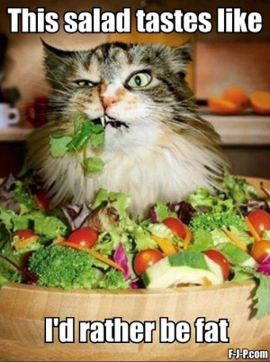 Funny Cat Eating Salad: Eating Salad, Cat, Diet, The Face, Rabbit Food ...