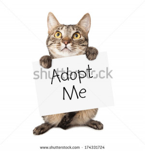 ... up a white cardboard sign with the words Adopt Me on it - stock photo