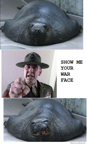 show me your war face elephant seal