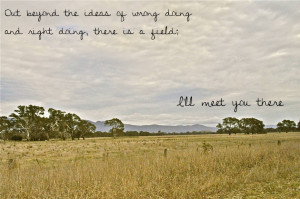 ... True Love: Rumi Quote About Love And The Picture Of Amazing Field