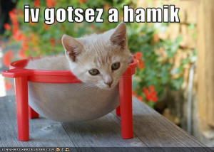 funny hammock