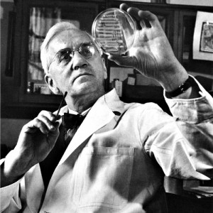 Alexander Fleming Quotes Flemingwhiskey jpg 25 quotes