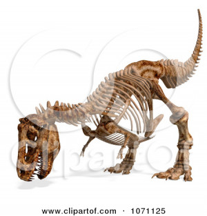 Rex Dinosaur Bones