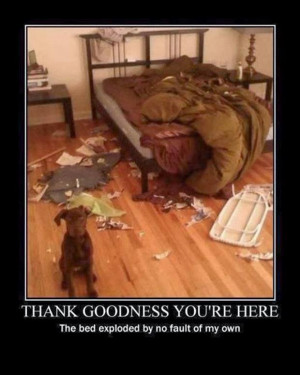 Thank goodness your here