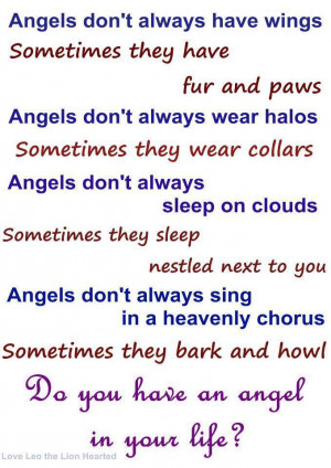 DO! In fact, I have THREE angels!