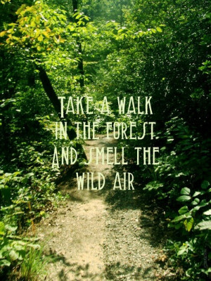 ... Take A Walk In The Forest And Smell The Wild Air ” ~ Nature Quote