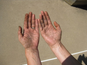 Lesson For The Day Outside And Get Your Hands Dirty