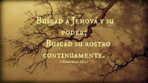 ... Bible, Versiculosbiblico Spanish, Bible Verses, Spanish Quotes