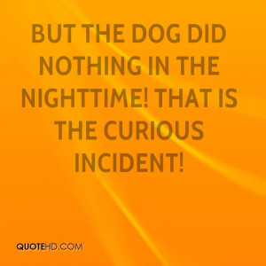 ... The Dog Did Nothing In The Nighttime! That Is The Curious Incident
