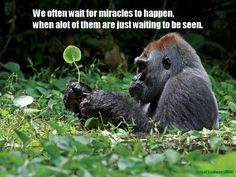 We often wait for miracles to happen, when alot of them are just ...