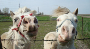 35 Funny Sayings to Write in a Wedding Card