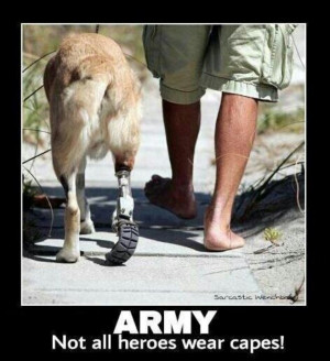 War hero dogs. Never forget.