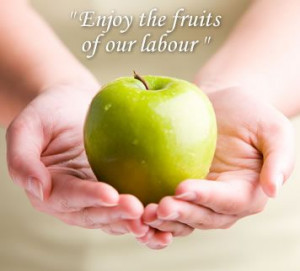 Start today and tomorrow you will enjoy the fruits of your labor.