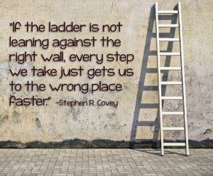 ... picture of the ladder, you have determined the wall you wish to climb