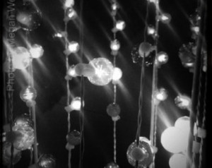 Christmas Lights (6x6 photo)