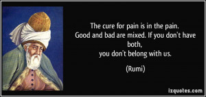 The cure for pain is in the pain. Good and bad are mixed. If you don't ...