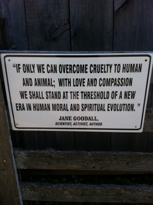 Quotes from The Donkey Sanctuary of Canada
