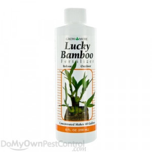 Grow More 2-2-2 Lucky Bamboo Fertilizer