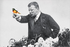 Theodore Roosevelt and the Crusade for America