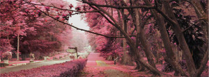 Magic Photo: Pink-Colored-FB-Cover-Nature-Theme